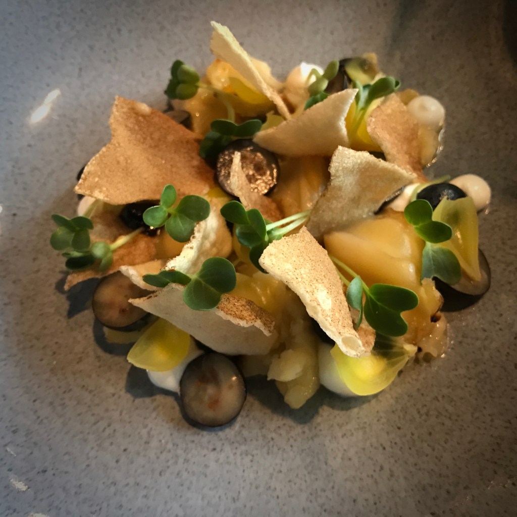 Aan de Poel** – Amstelveen (Dec 2016)