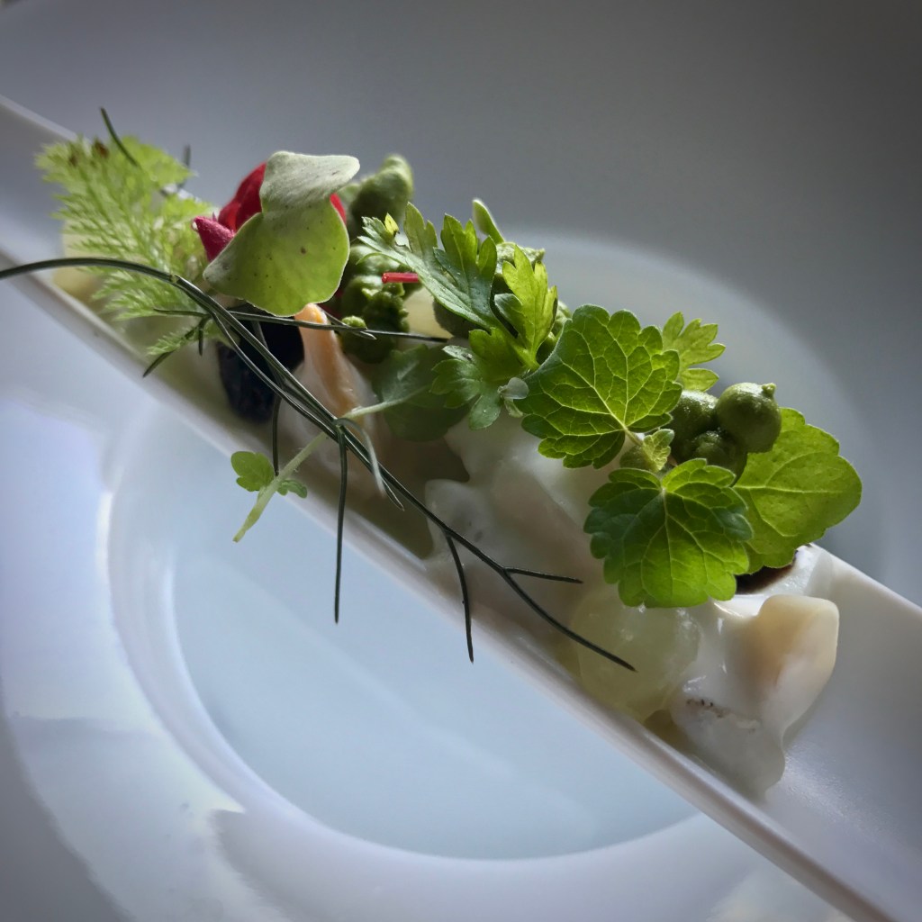 &samhoud places**, Amsterdam (July 2017)