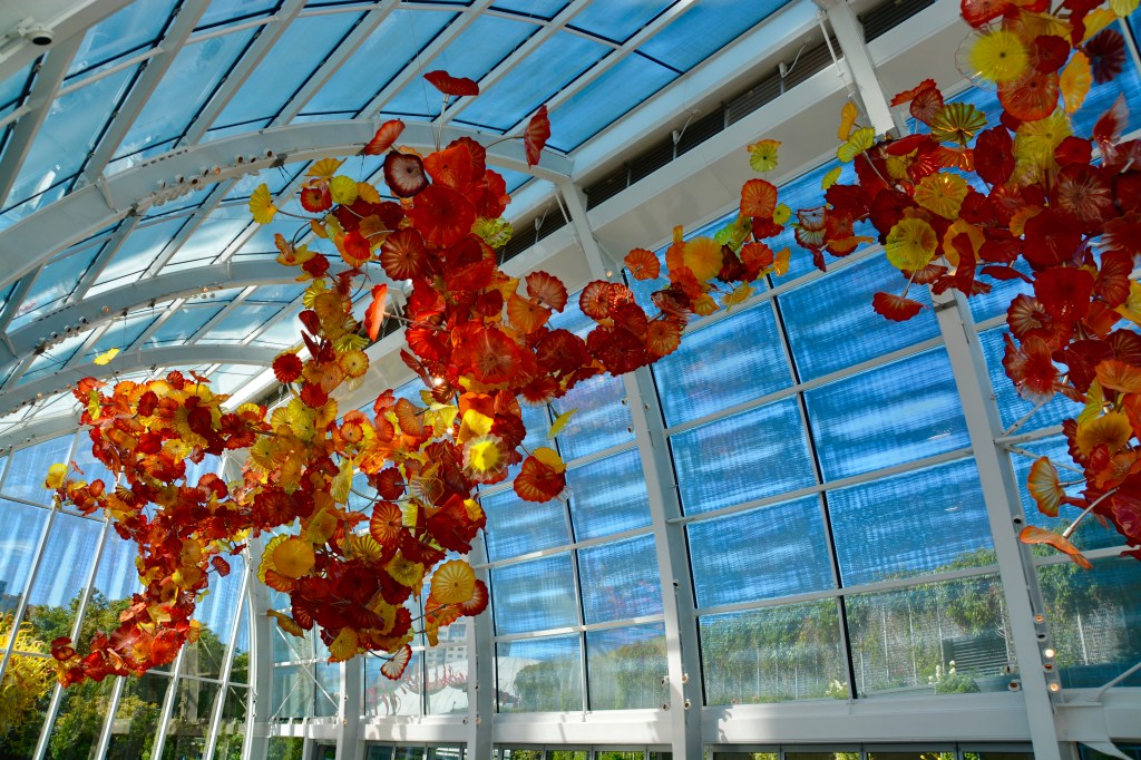 Around the World – Pacific Northwest USA (part 2) – Seattle, WA (continued)