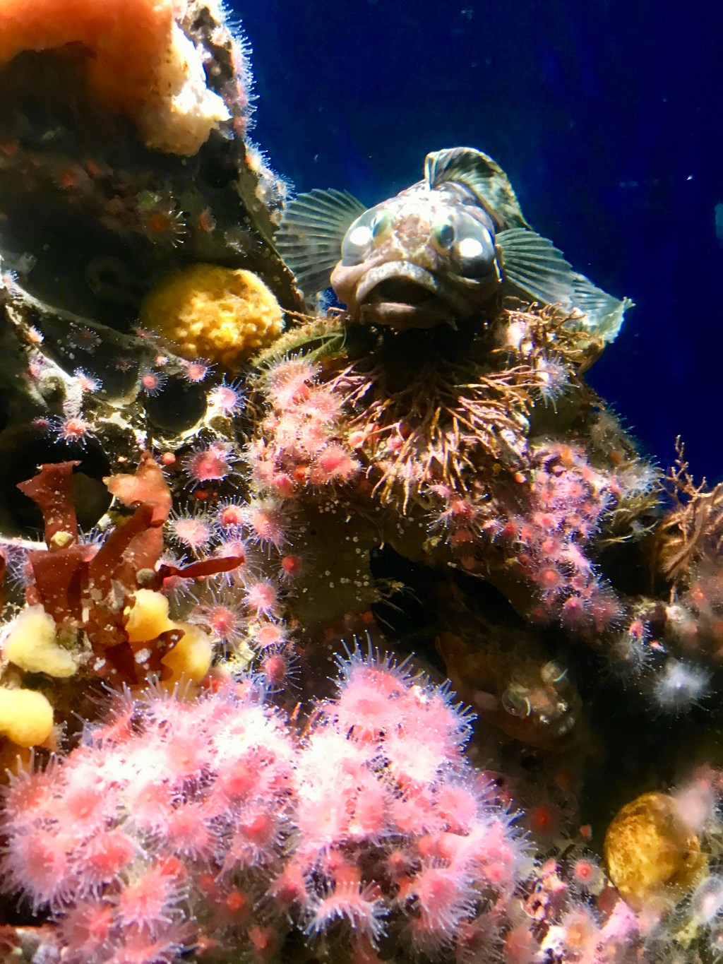 Around the World – Pacific Northwest USA (part 11) – San Francisco – Monterey, California