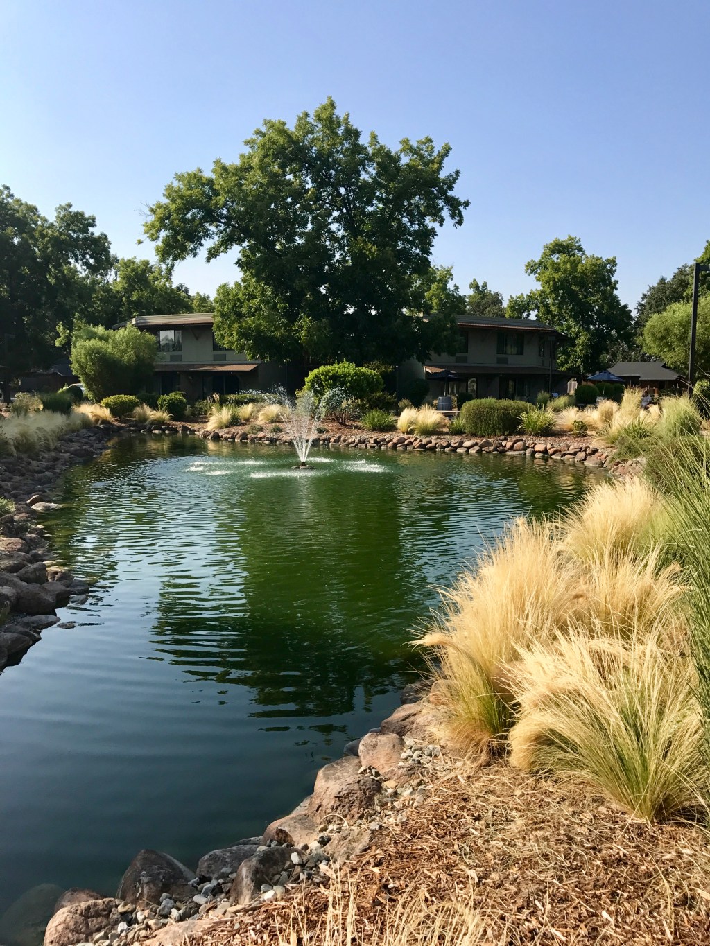 Around the World – Pacific Northwest USA (part 14) – Napa – Anderson, California