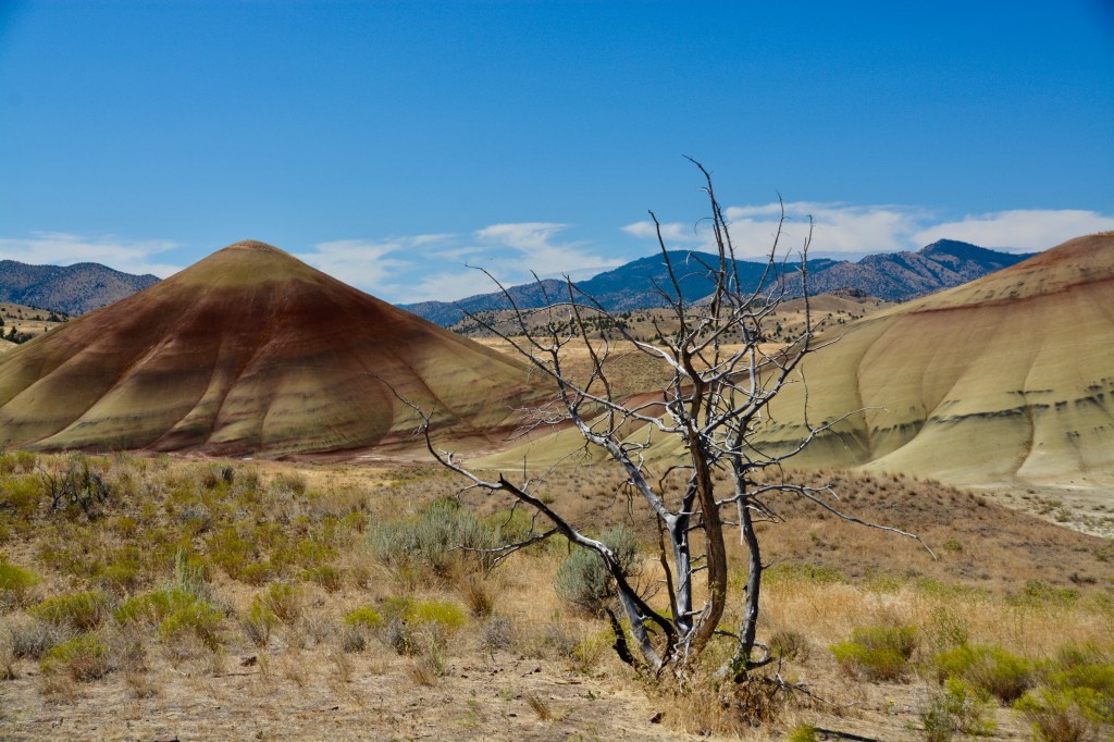 Around the World – Pacific Northwest USA (part 17) – Painted Hills, Oregon