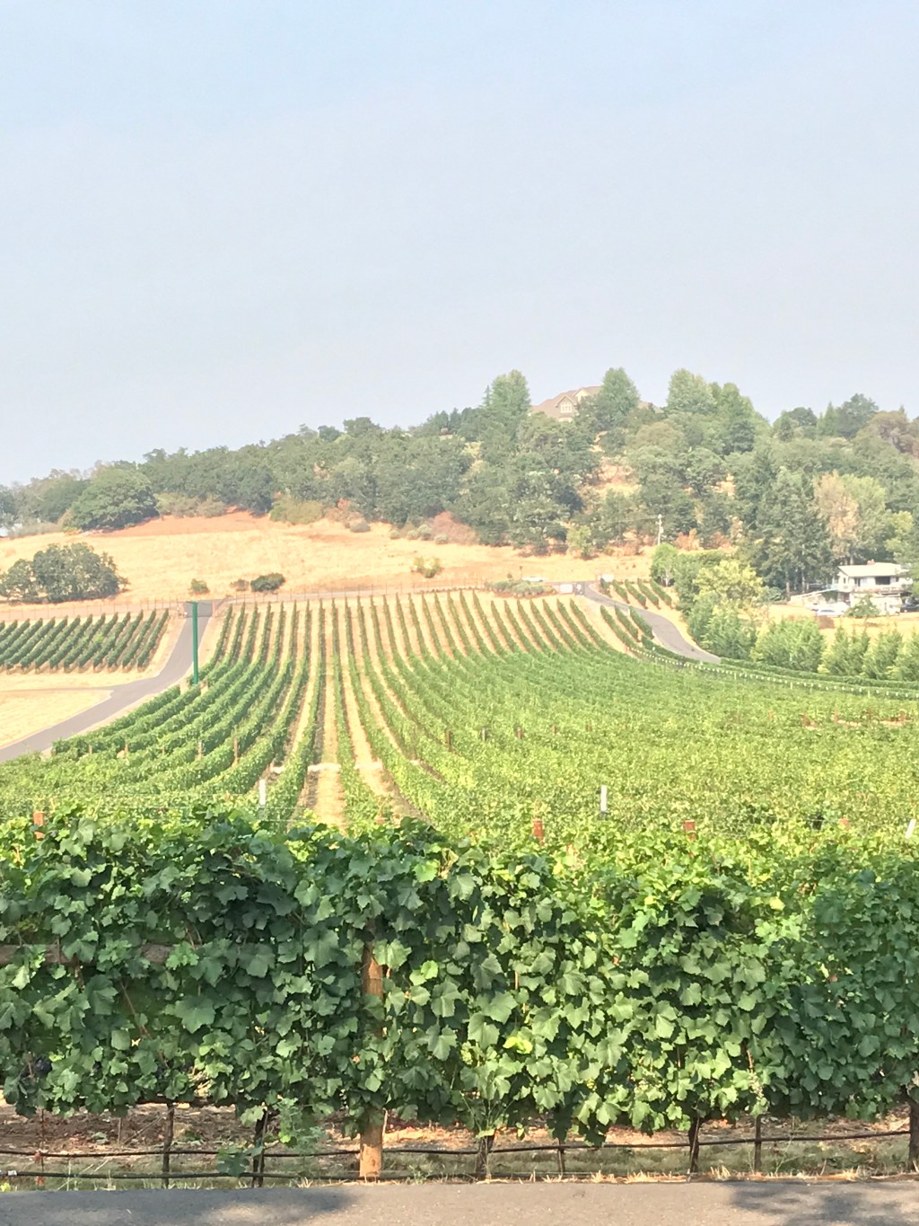 Around the World – Pacific Northwest USA (part 15) – Anderson, CA to Medford, OR