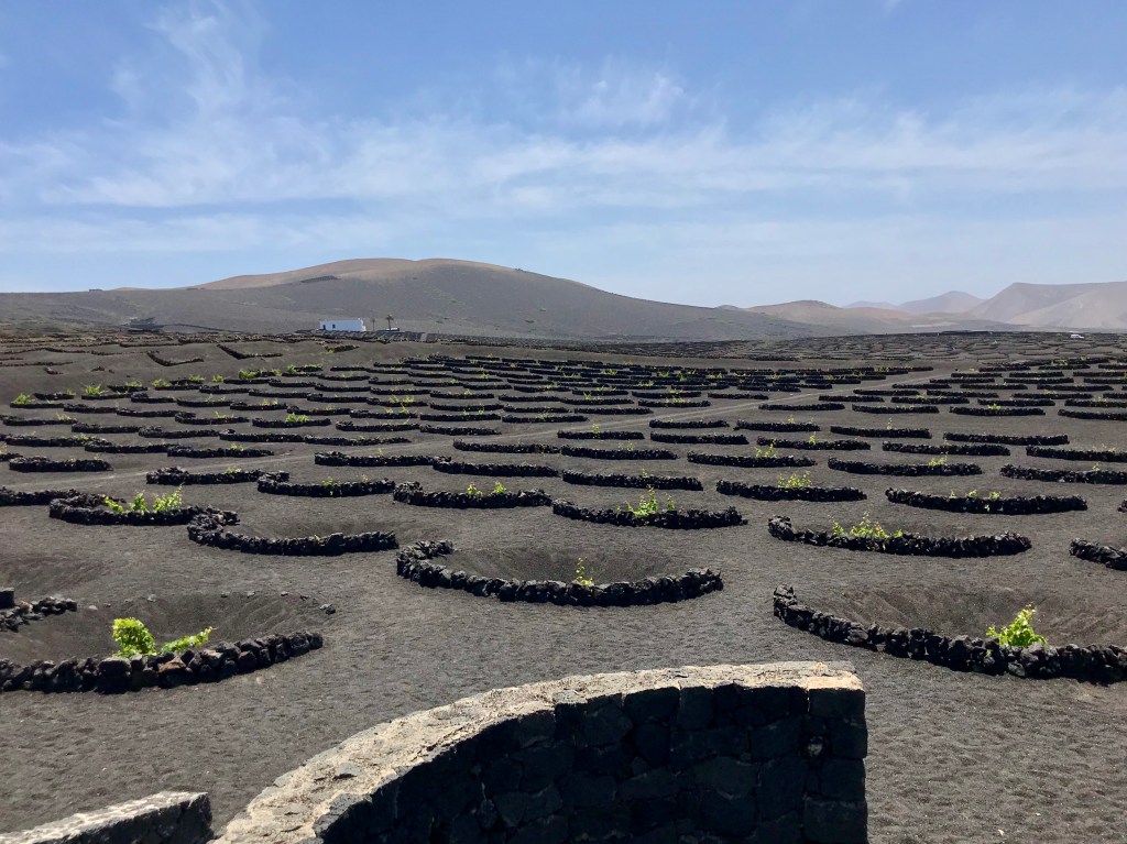 Around the World – Lanzarote (part 2)