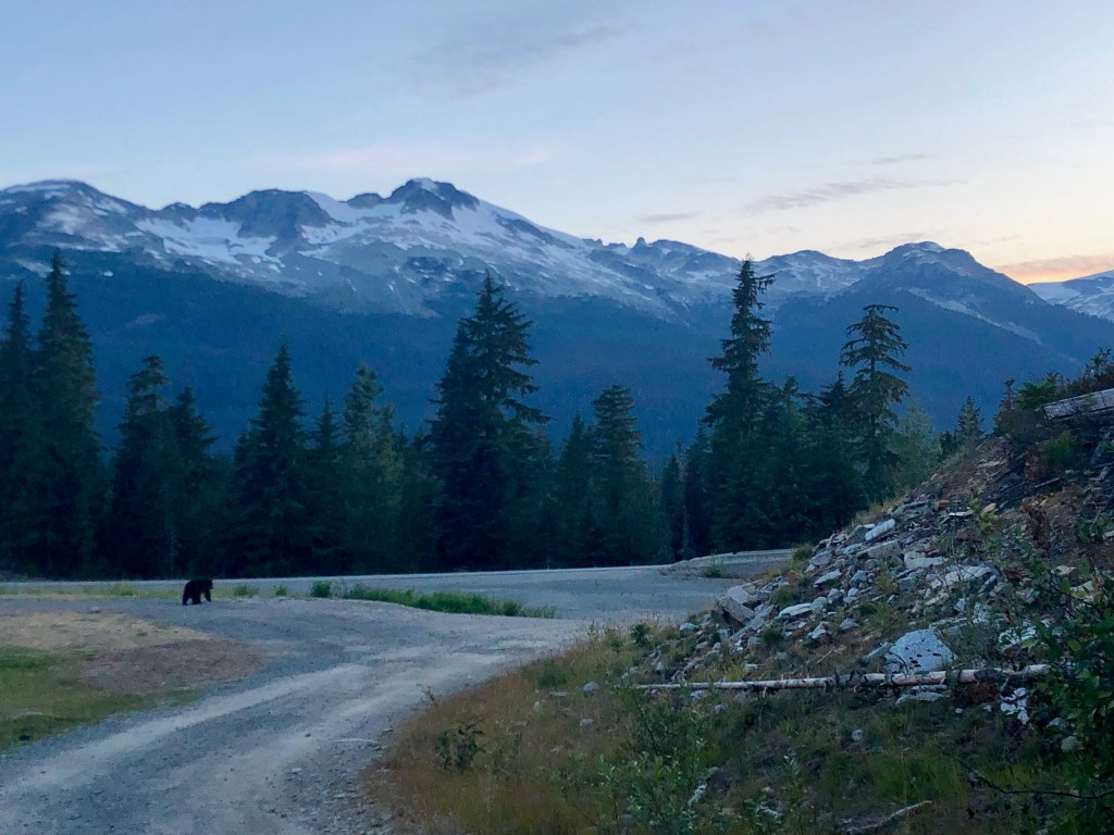 Around the World – British Columbia road trip​ (2019) – Whistler