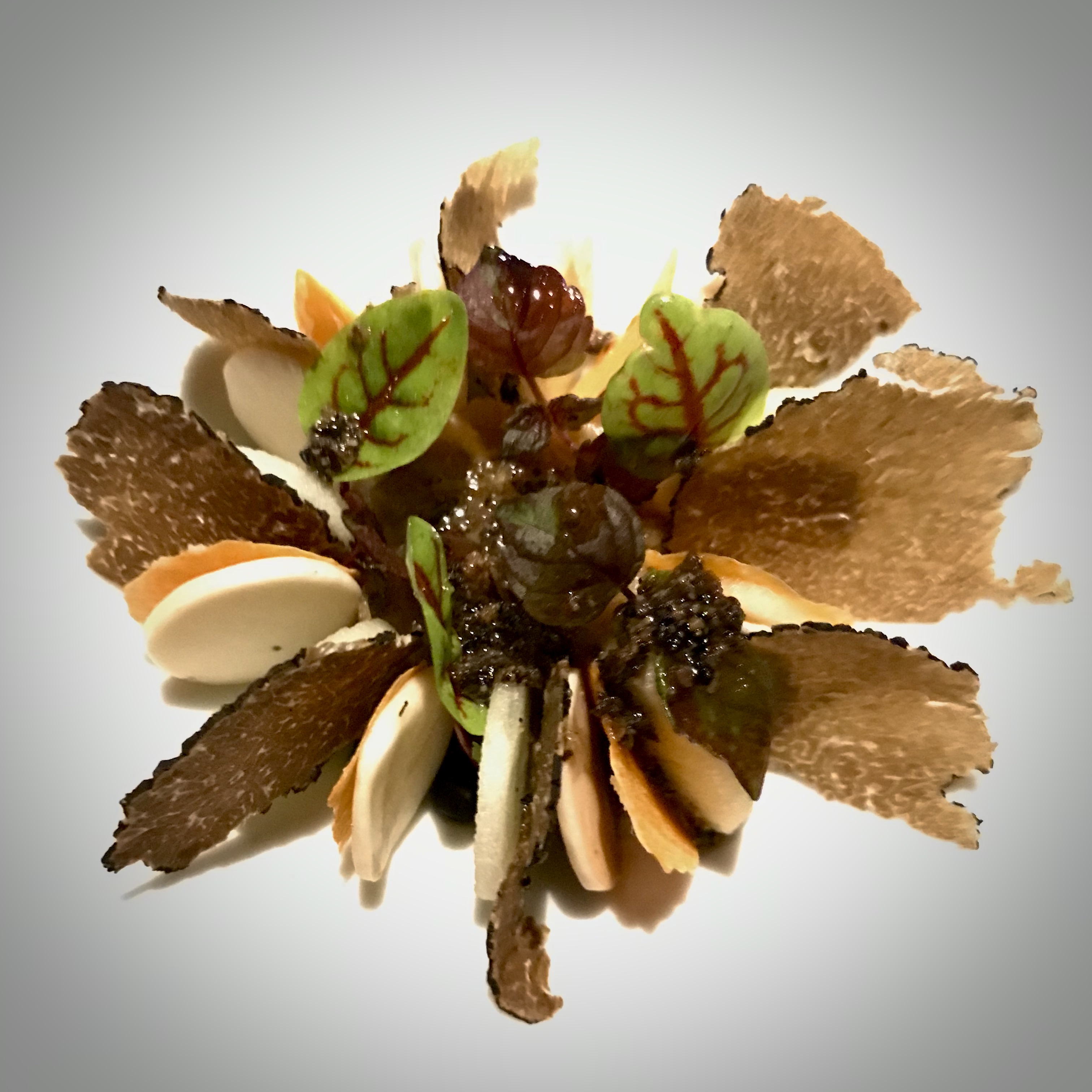 AF7790F5-2081-456C-B8A3-1A02BAF2A853_1_201_a